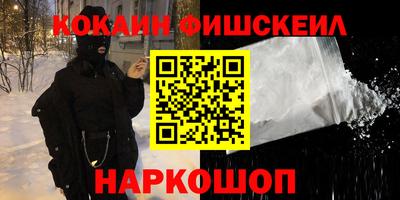 jwh Кингисепп