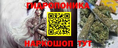 jwh Кингисепп