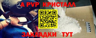 jwh Кингисепп