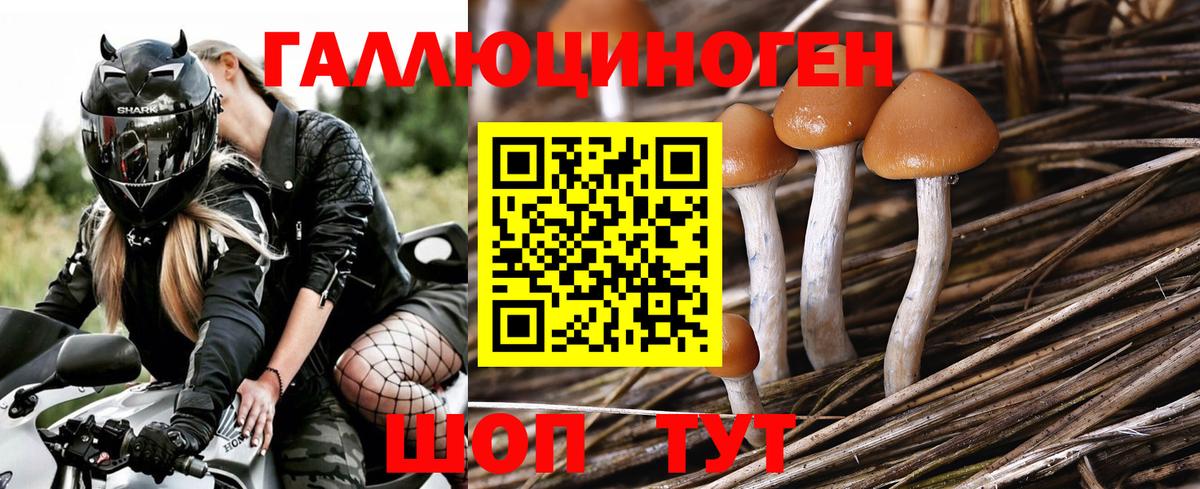 Галлюциногенные грибы мухоморы Барабинск