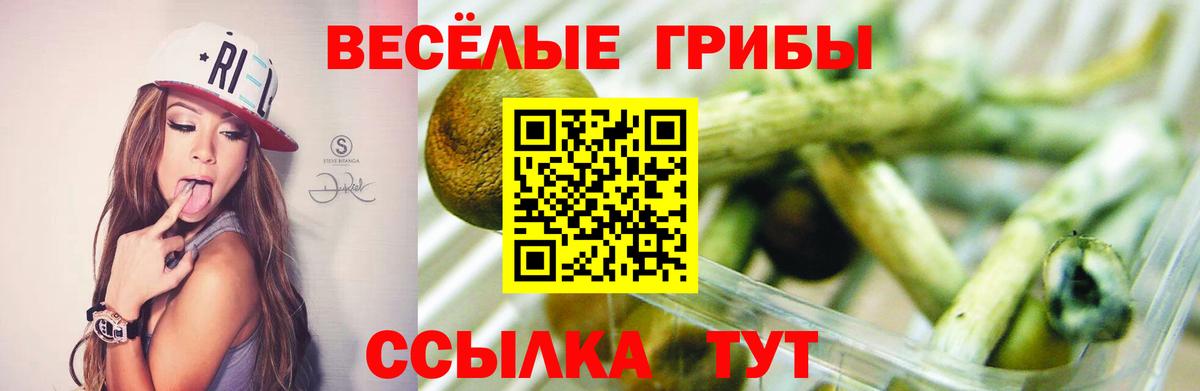 МЕТАДОН Барабинск